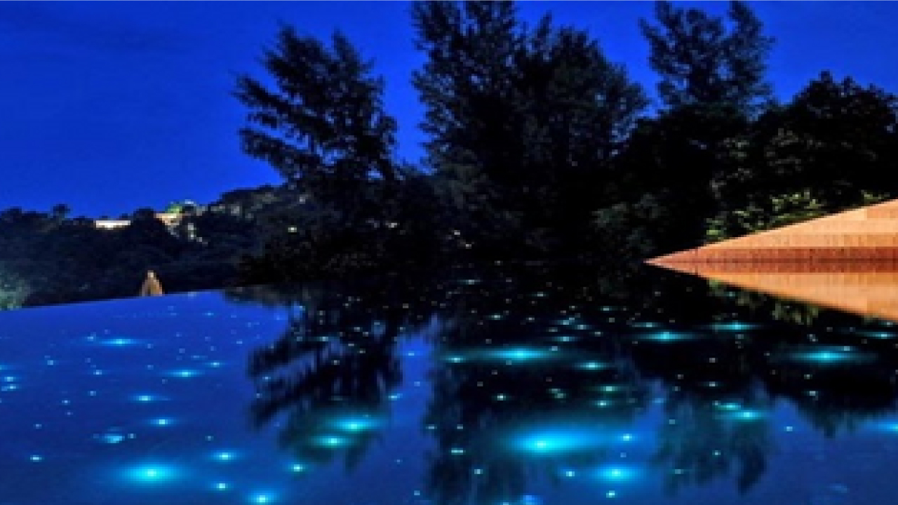 Contrast Dramatics - 3