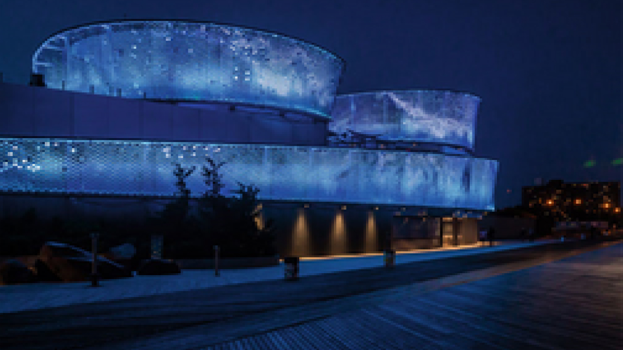 Contrast Dramatics - 4