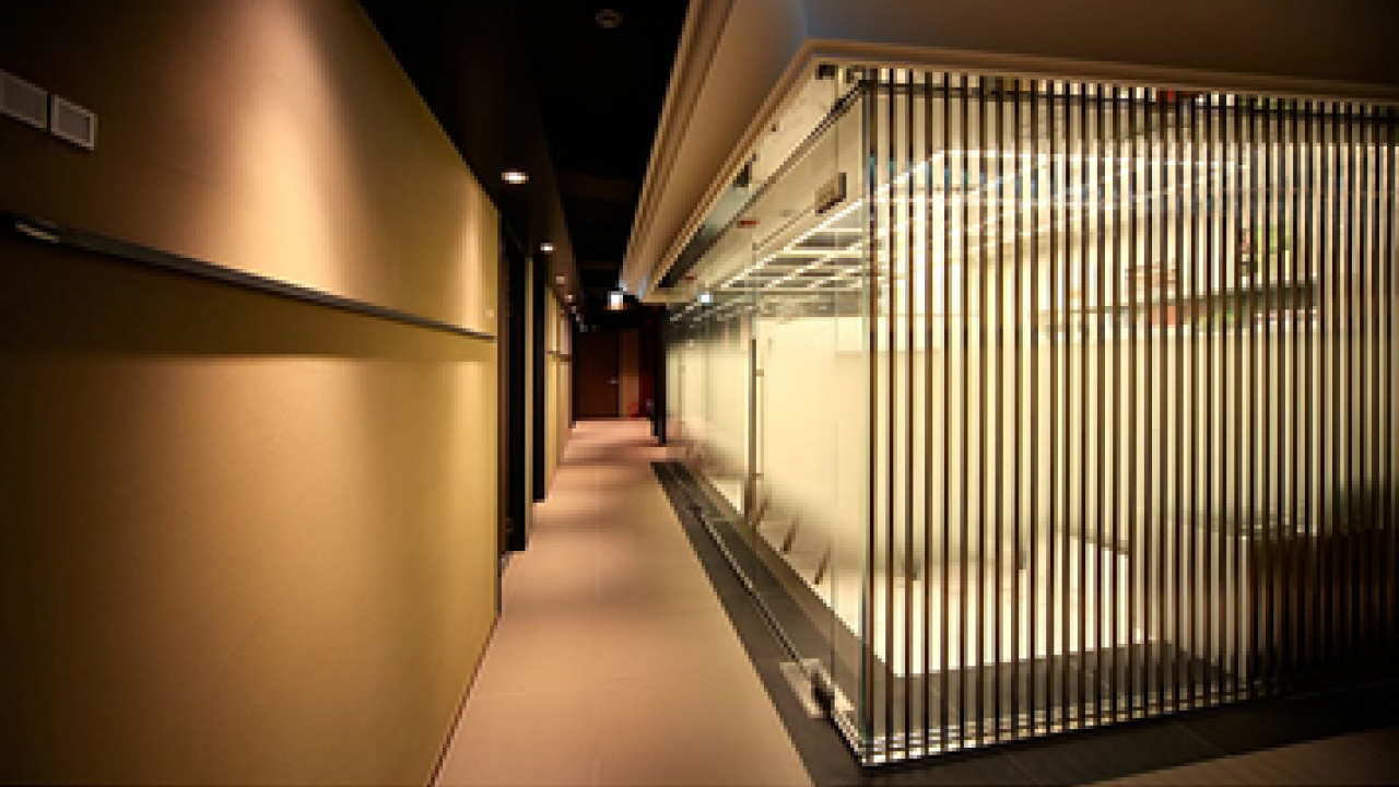 Contrast Idea For Focal Point - 2