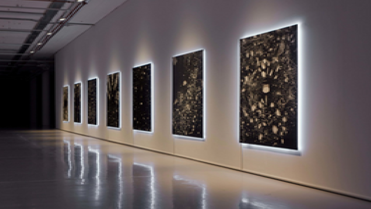 Contrast Idea For Circulation and Pathway - 3